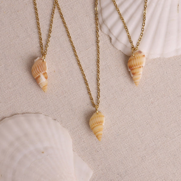 Shore Kette mit echter Muschel ⟡ Edelstahl Moony Creations